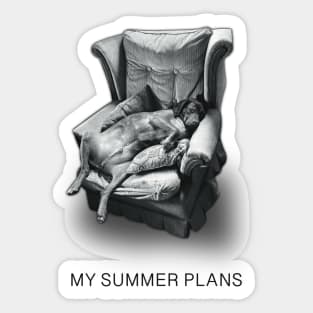 My Summer Plans | Hound Dog Humor | Funny T-shirts Sticker